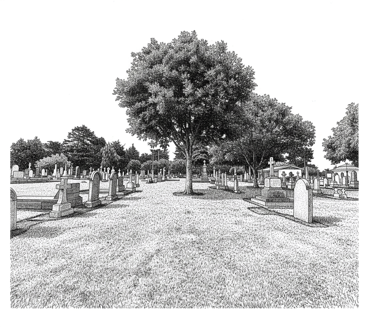 Area F of the Timaru Cemetery