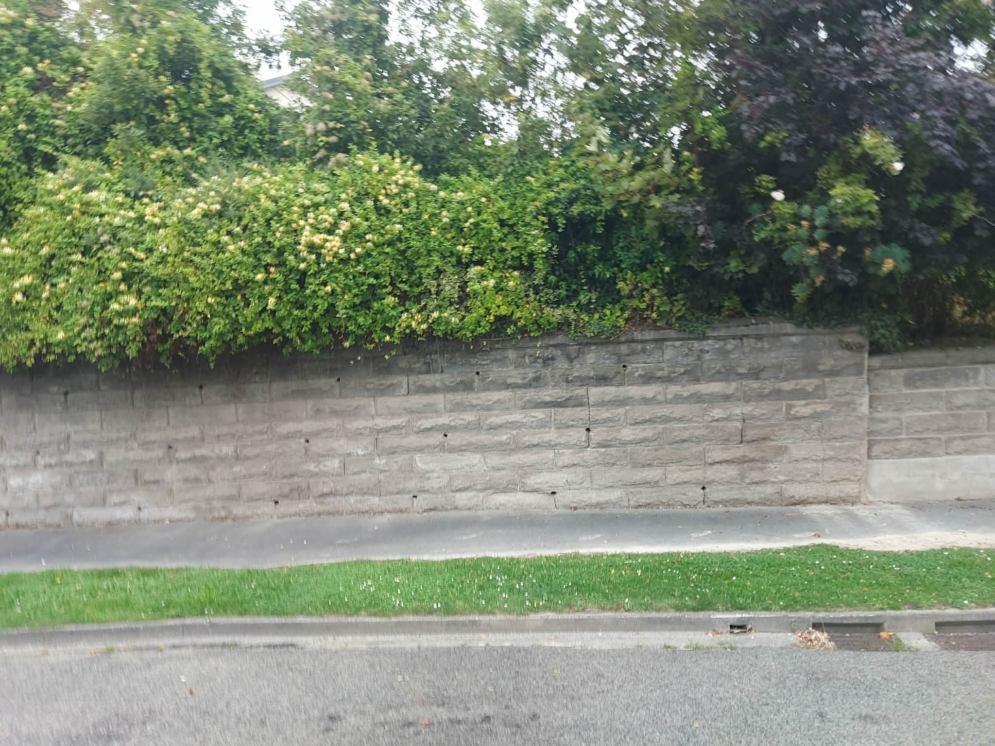 Beverly Road Wall Photo Roselyn Fauth Feb 2026