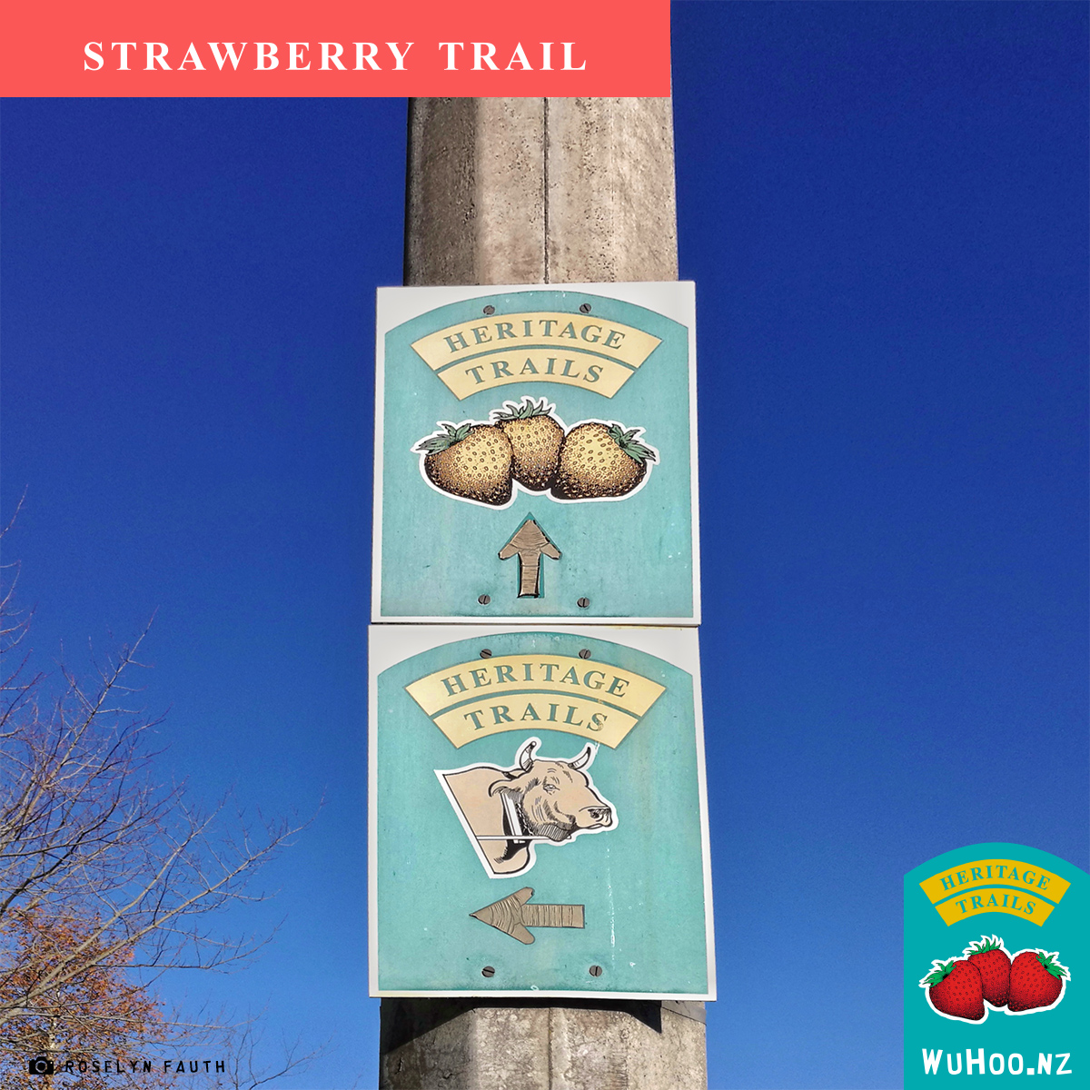 HeritageTrail Logo Watermark Strawberry TimaruHighwaySign