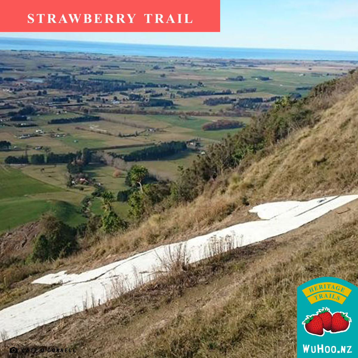 HeritageTrail Strawberry 02000 WhiteHorse