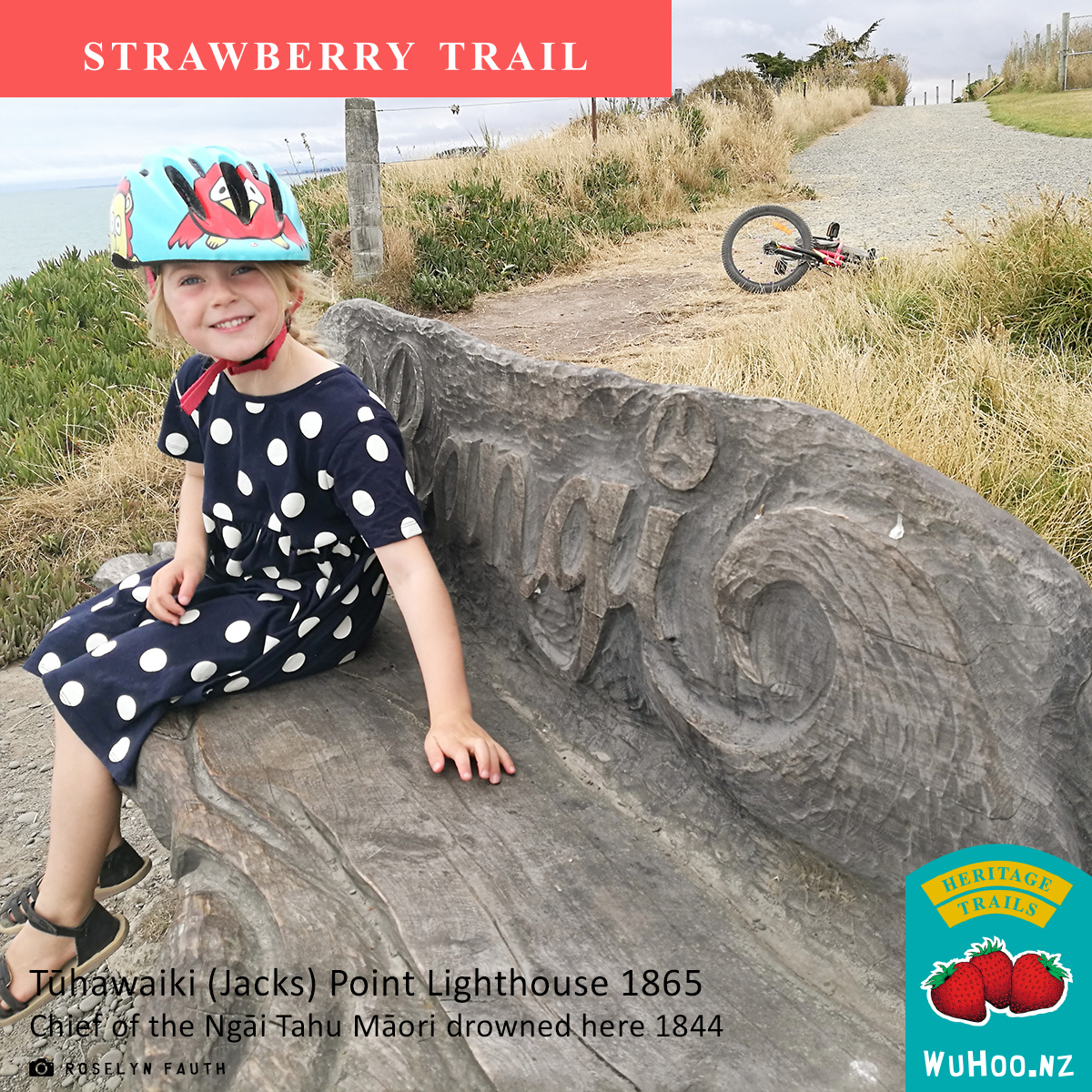 HeritageTrail Strawberry Sign 0080