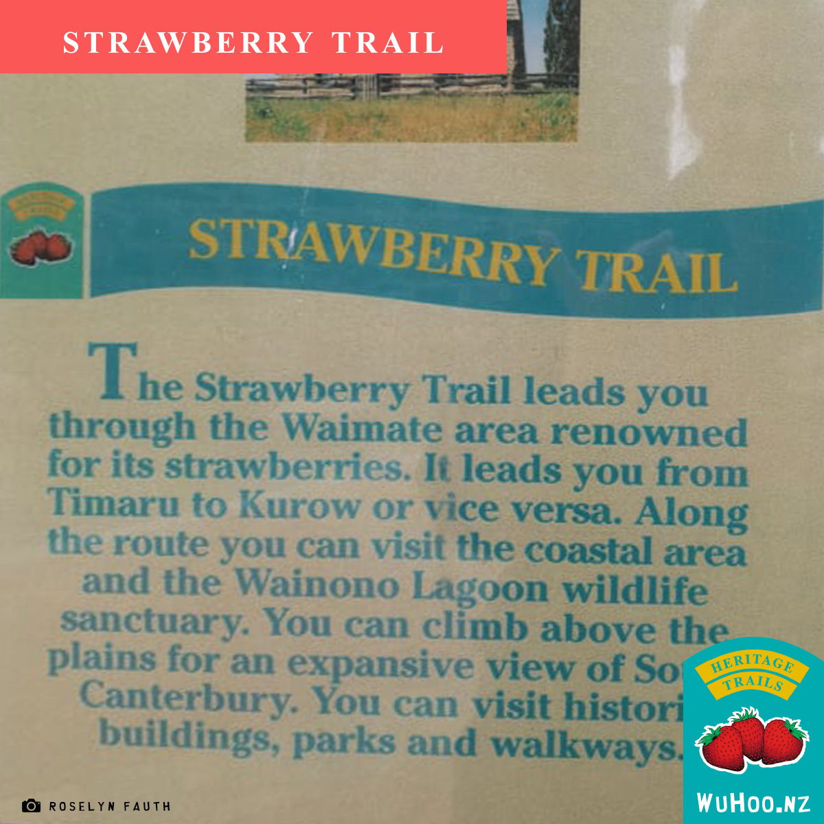 HeritageTrail Strawberry Sign 20