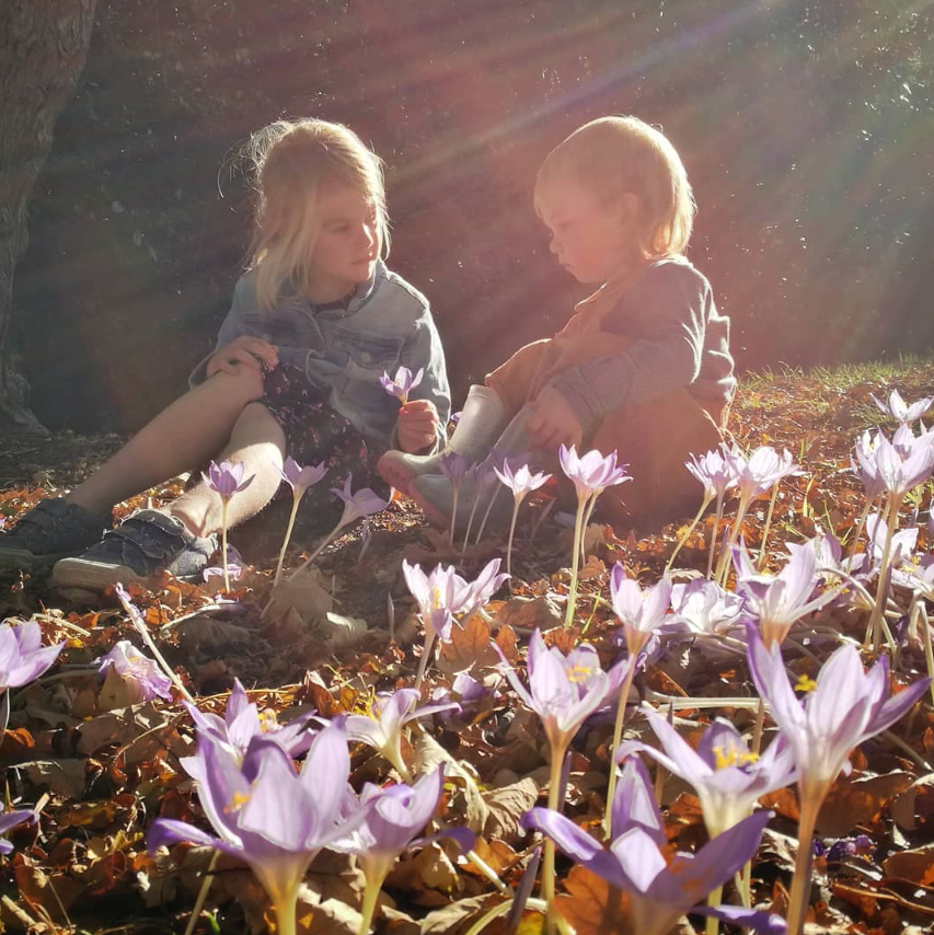 enjoy the blooms