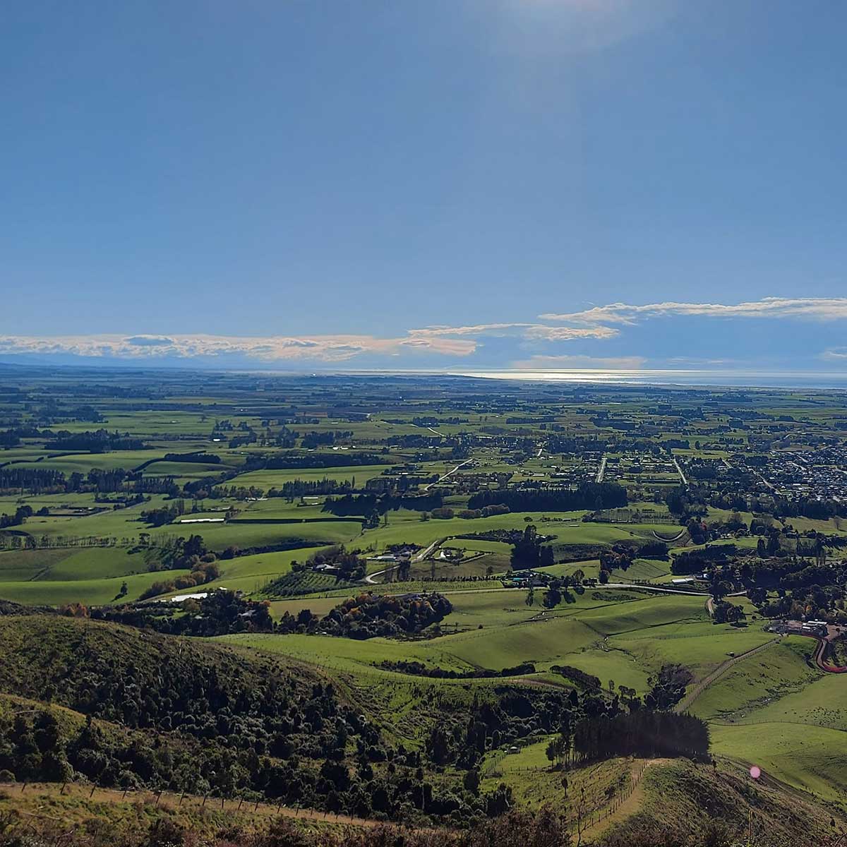 WuHooTimaru LonePine Waimate WhiteHorse