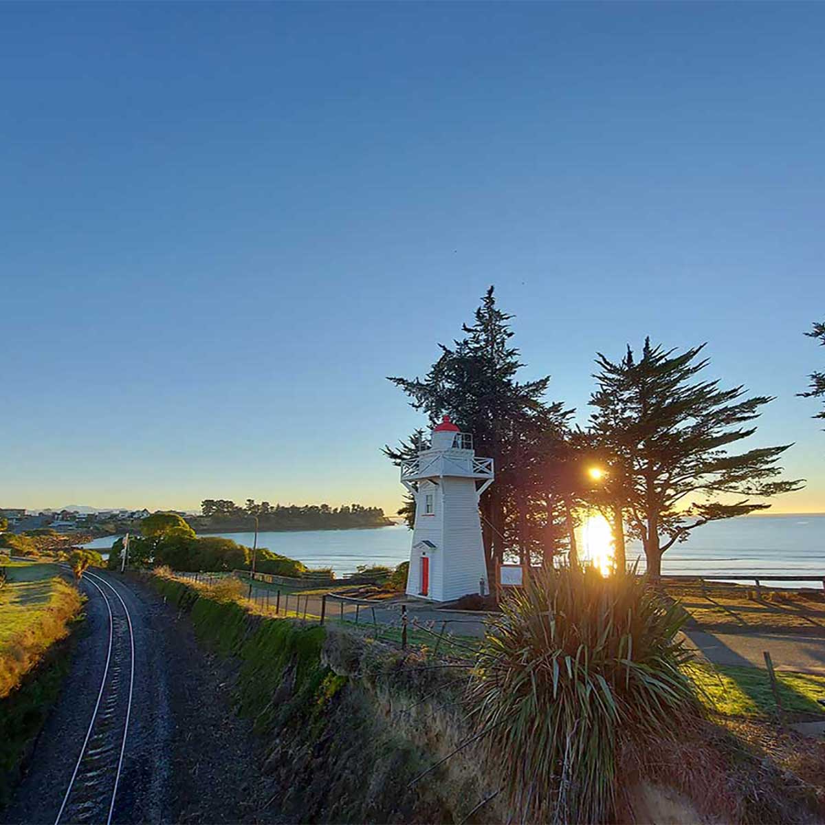 WuHoo Timaru Tree Tour Lighthouse Coastal Macrocapa