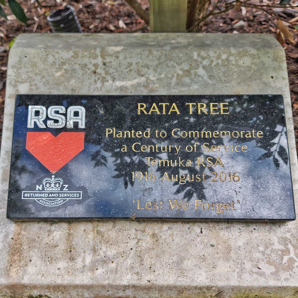 WuHooTimaru Trees Rata Tree RSA 102839 01