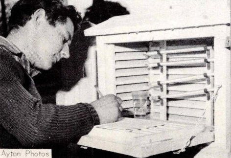 1963 Murray Horrell taking temperature recordings Mid South Canterbury foto news