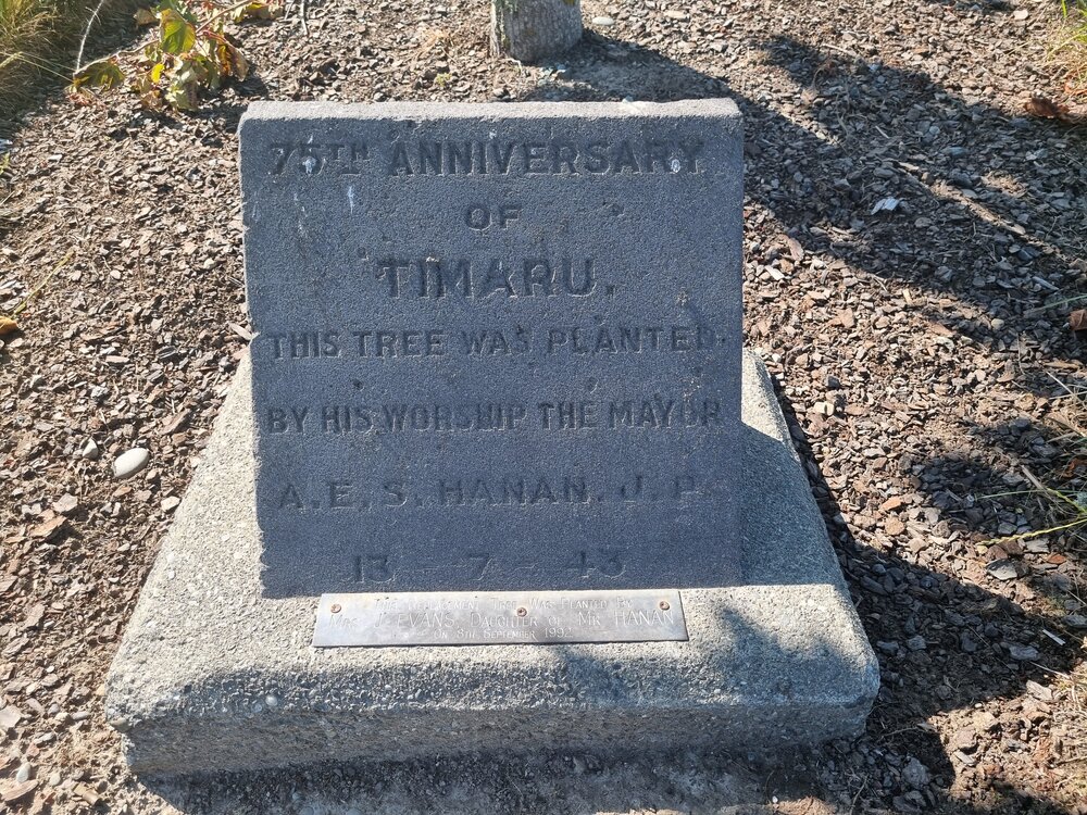 33278 hanan tree plaque at Caroline Bay