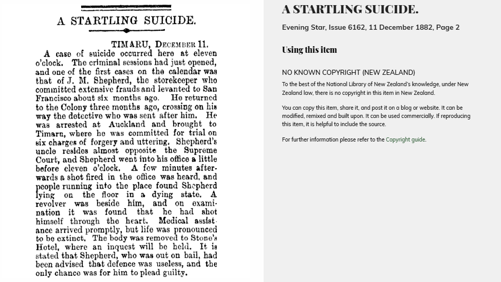 A STARTLING SUICIDE Evening Star Issue 6162 11 December 1882 Page 2