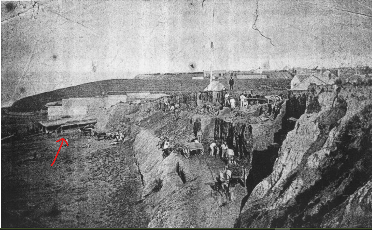 Alexandra Turnbull Library 442004758 800890415526714 5155154067797904297 n