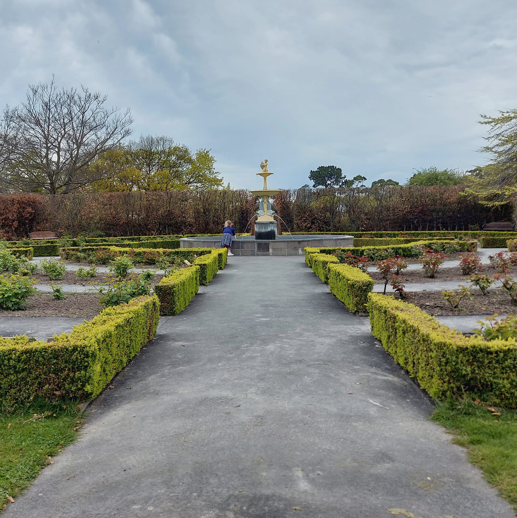 Anderson Garden park bench timaru roses at botanic gardens