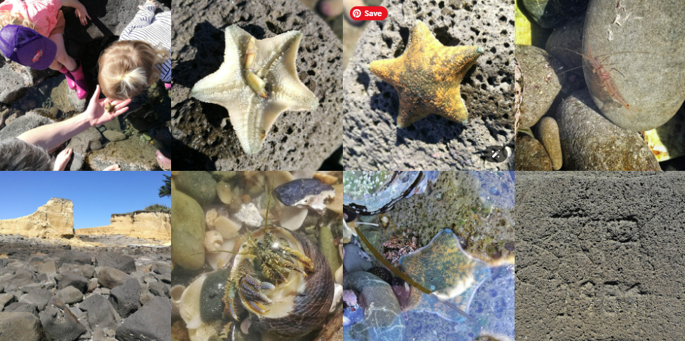 Dashing Rocks free fun adventures in Timaru Fauth Family Photos RFauth 2