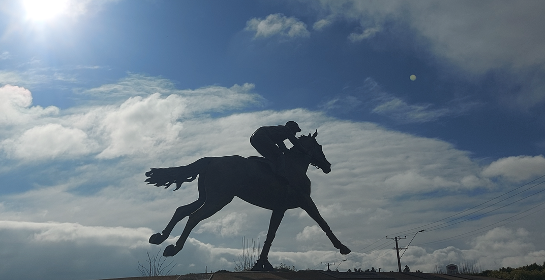 Detail of Joanne Sullivan Gessler sculpture of Phar Lap produced in 2009 in Bronze photo Roselyn Fauth 2026 c