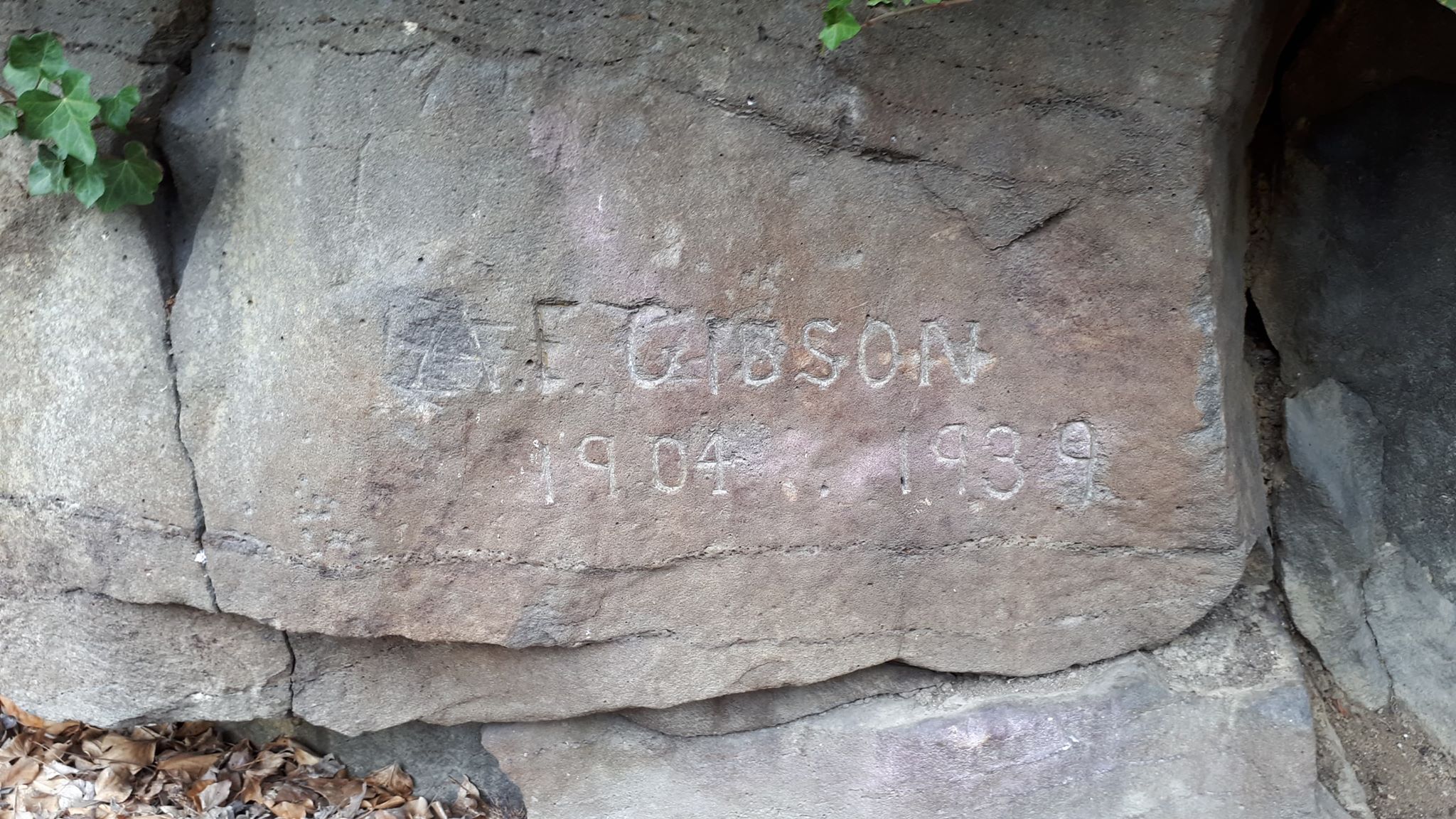 F Gibson Timaru 1904 1939