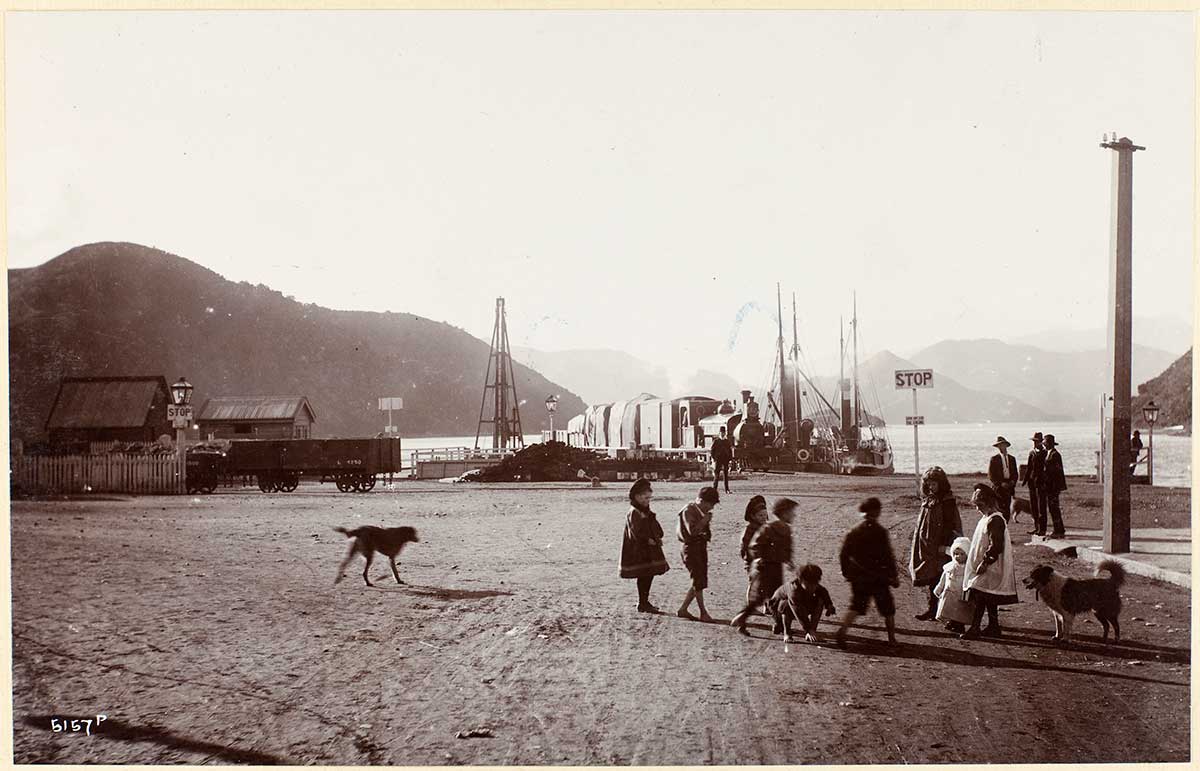 MA I249755 TePapa Picton full