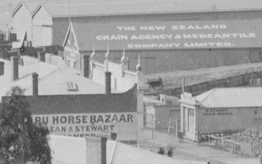 Section of a photo Photo taken by the Burton Brothers on Strathallan Street