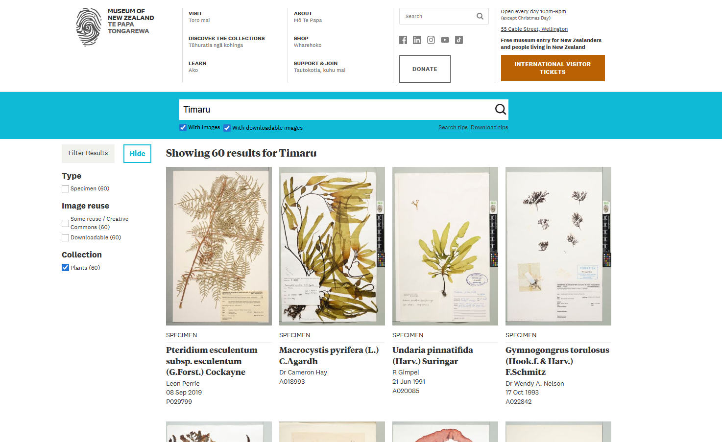 Te Papa Screenshot 2026 04 17 090624