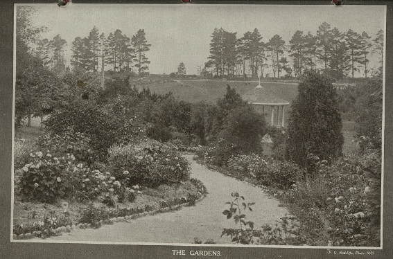 Picturesque Timaru Park