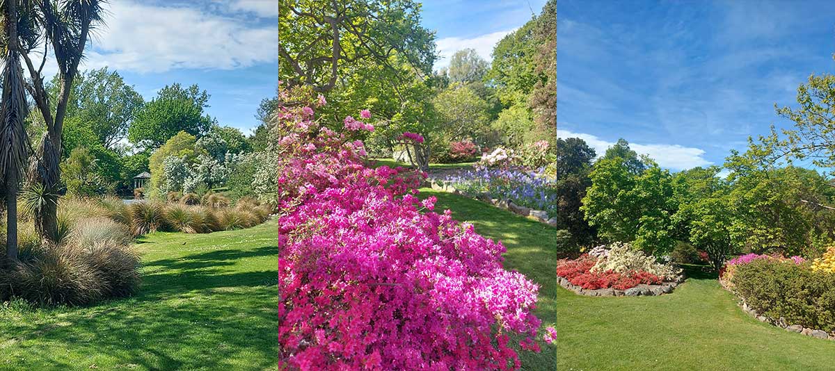 Timaru Botanic Gardens R Fauth 2026 3