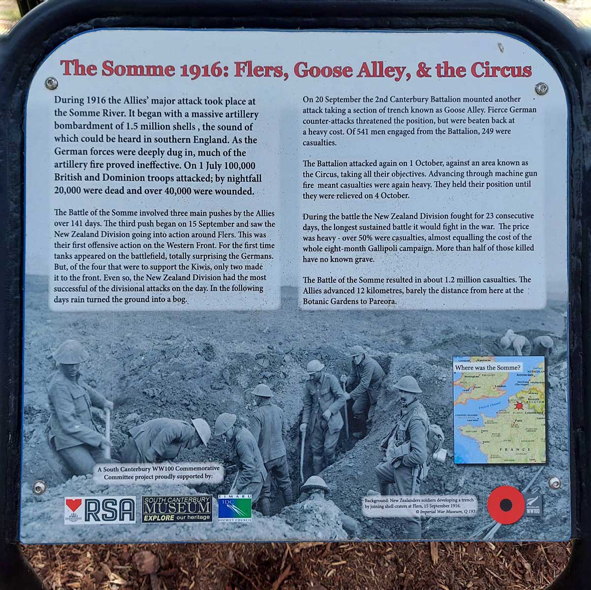 WuHoo Timaru Botanic Gardens Gallipoli Red Pine