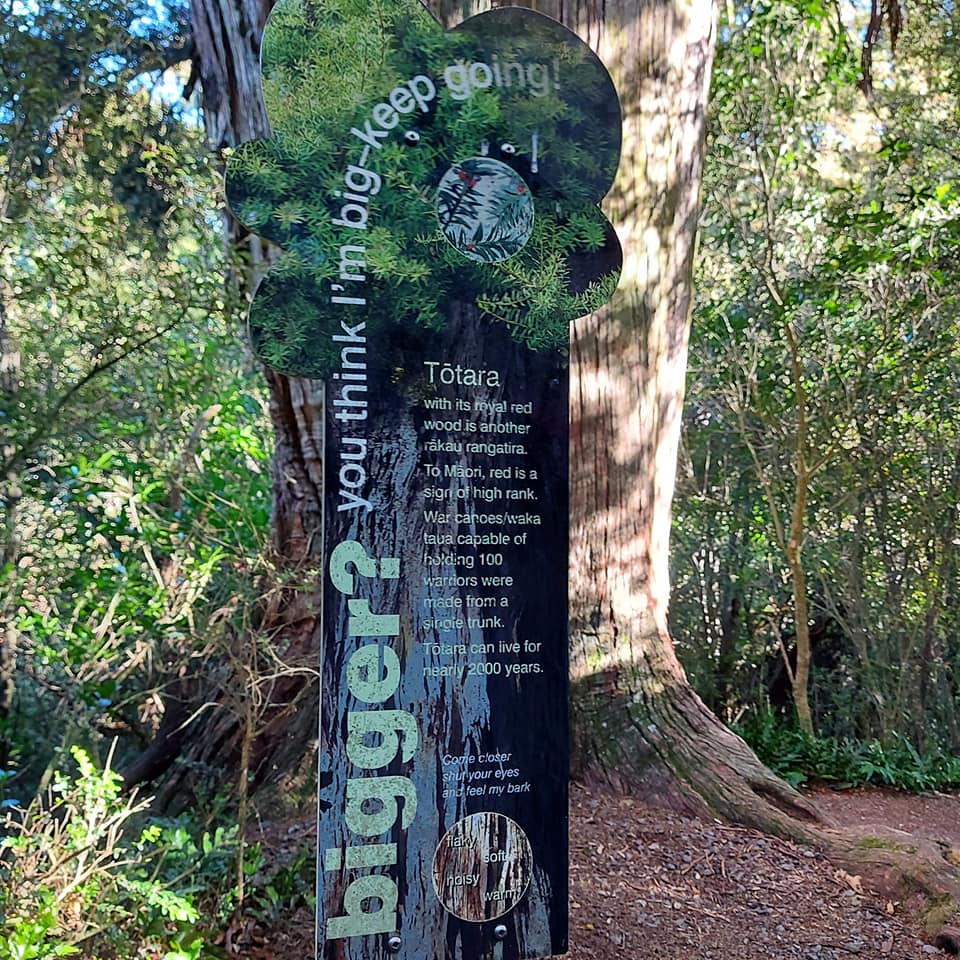 WuHooTimaru Geraldine TalbotForest 001