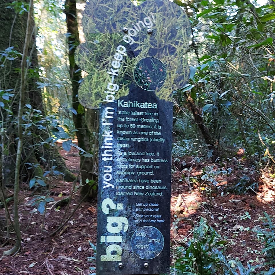 WuHooTimaru Geraldine TalbotForest 001