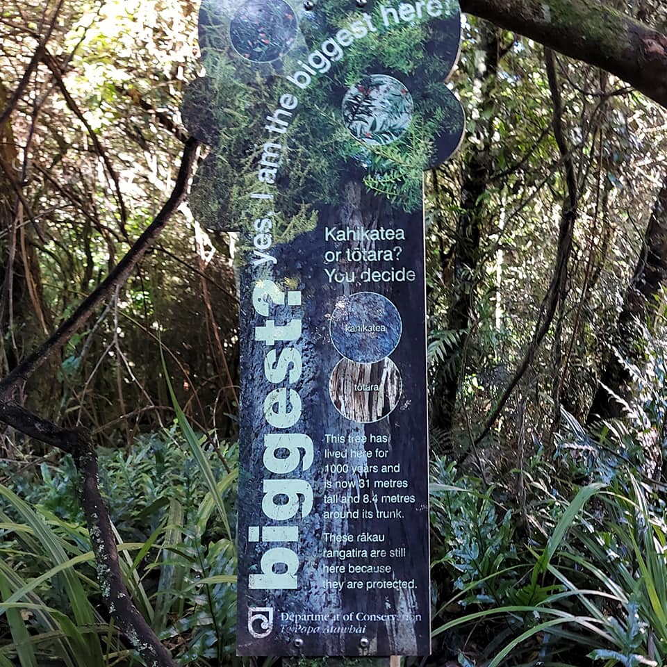 WuHooTimaru Geraldine TalbotForest 001