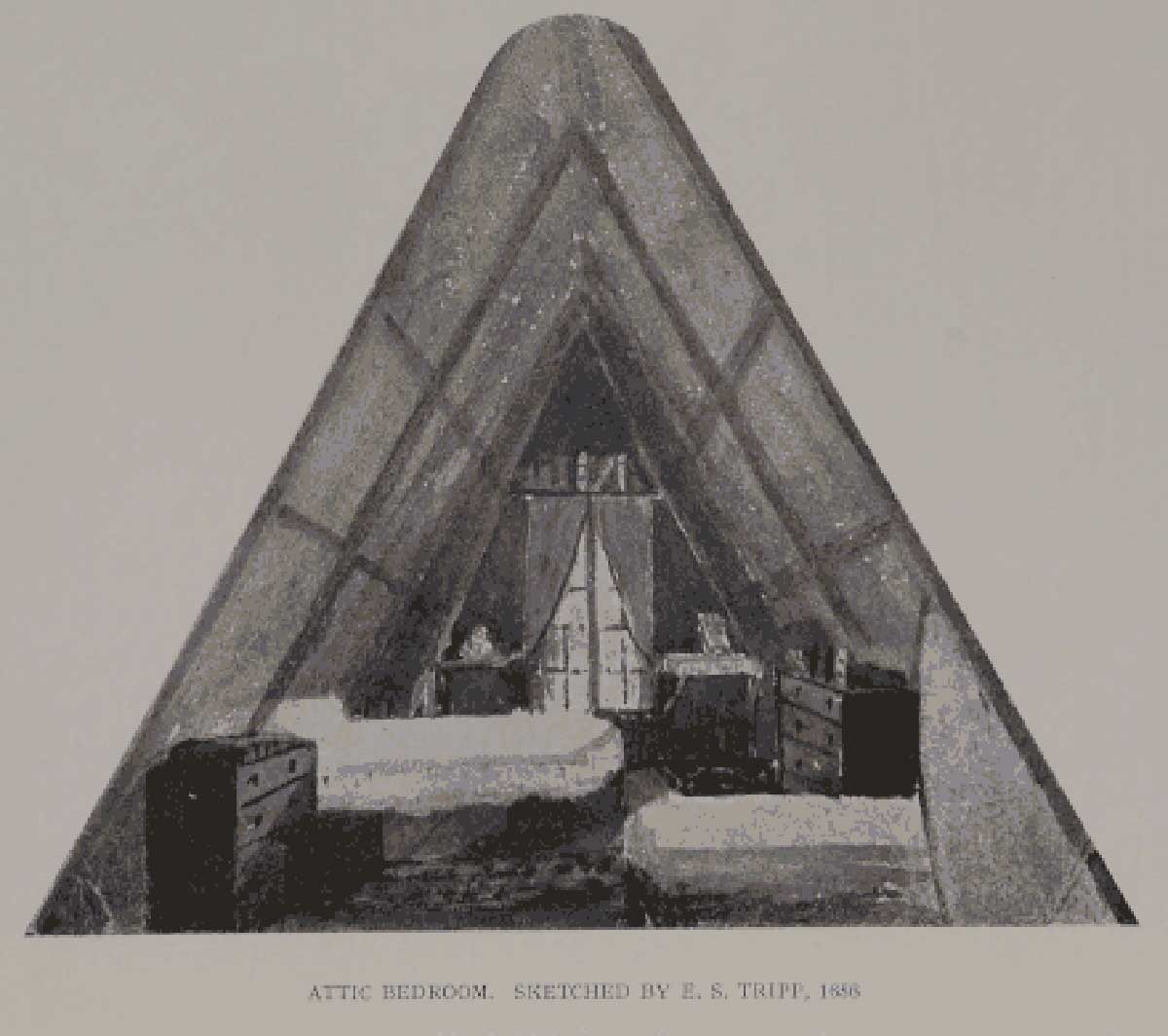 Tripp Attic