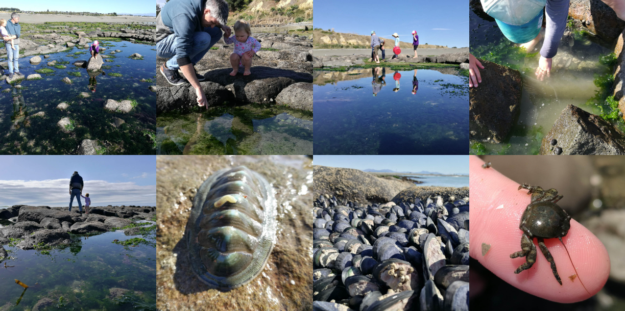 Waitarakao Washdyke Lagoon Reef free fun adventures in Timaru Fauth Family Photos RFauth