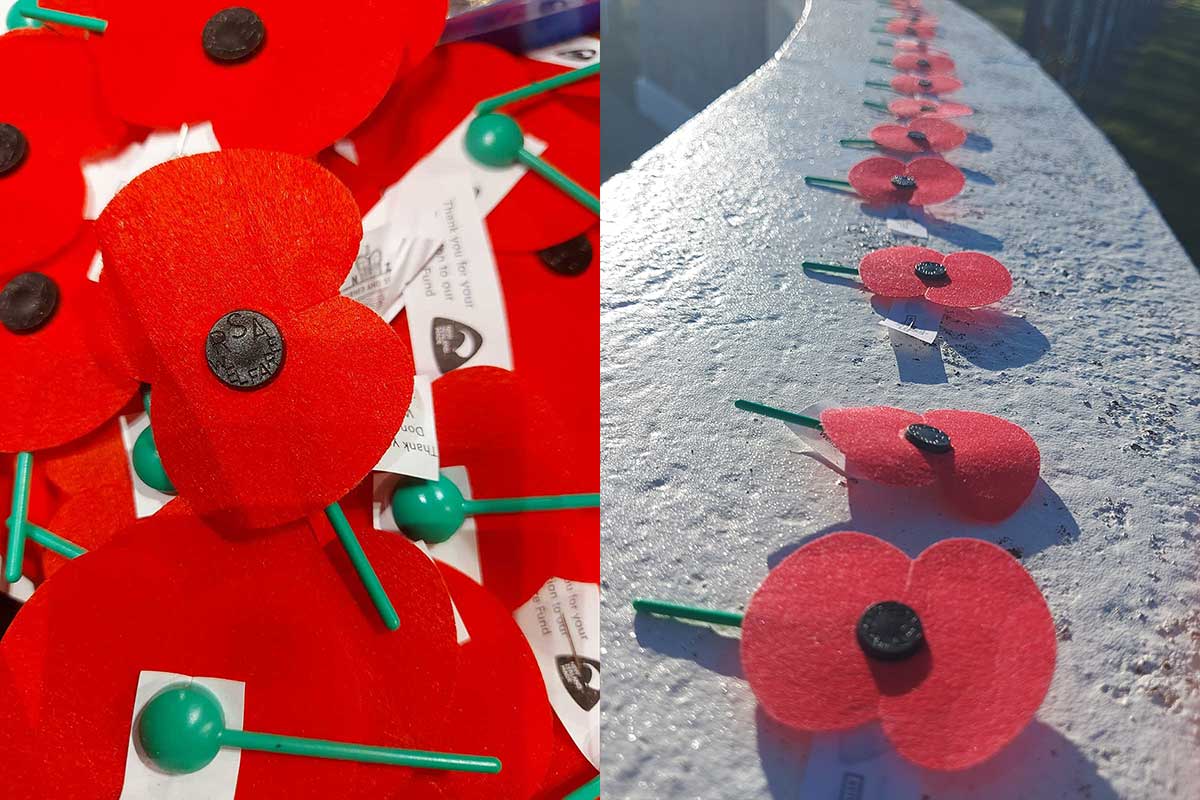 ANZAC poppies Timaru RFauth