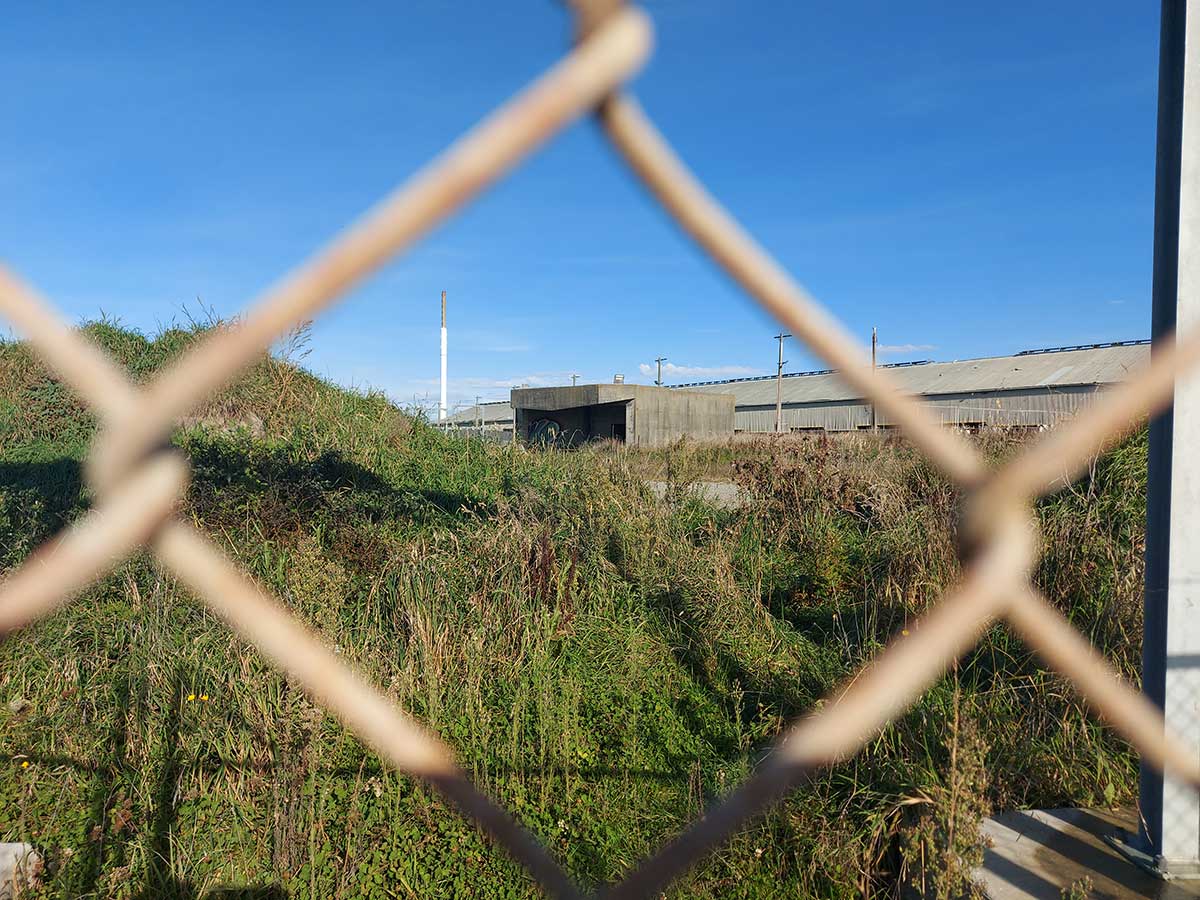 Timaru War tour Defence Battery RoselynFauth 2026 04