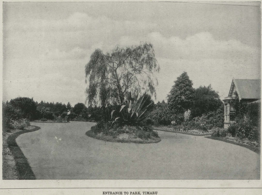 William Ferrier Album of Views Timaru The Park 1904