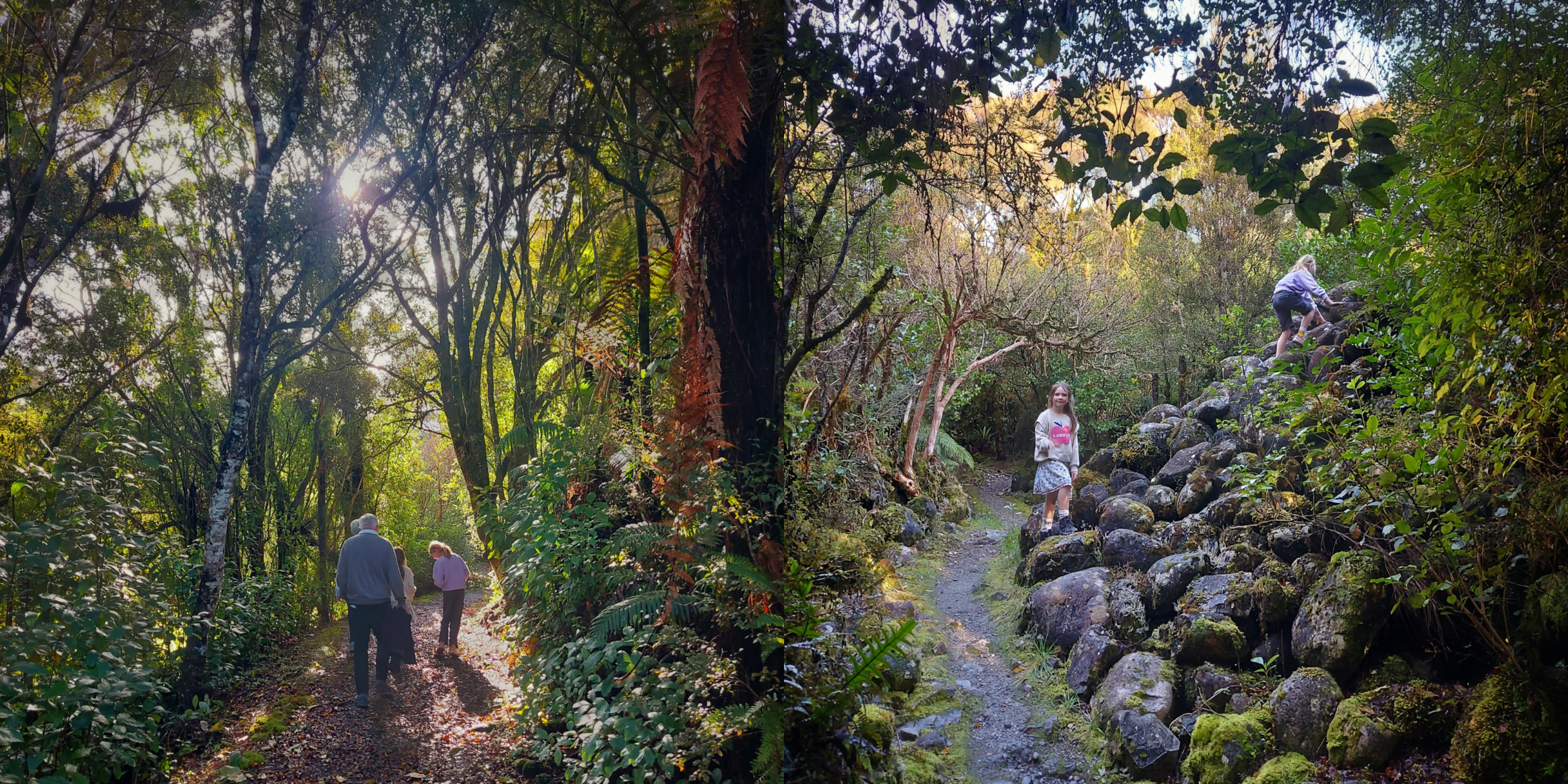 c5fe1ee9 e80d 421c 9d9f 672a75195f69