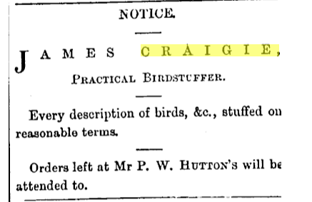 cragie practical bird stuffer